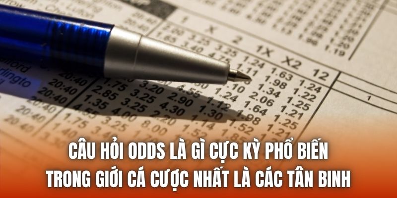 Câu hỏi odds là gì cực kỳ phổ biến trong giới cá cược nhất là các tân binh